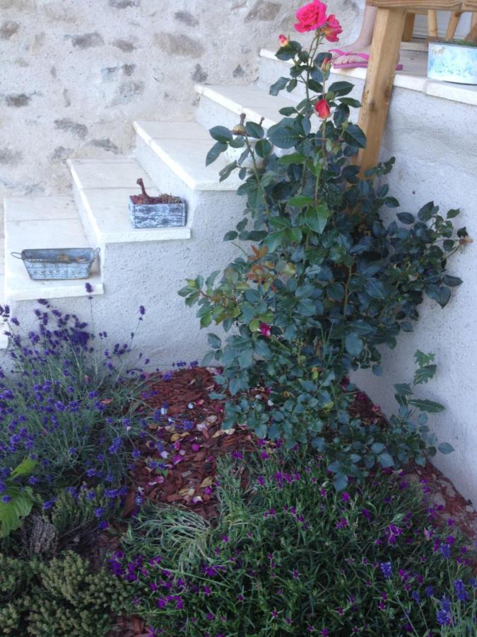 Le Domaine Des Terres Villa Saint-Appolinaire  Luaran gambar